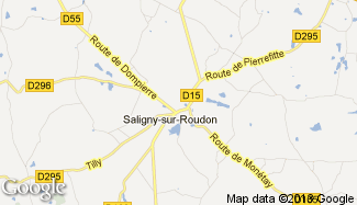 Plan de Saligny-sur-Roudon