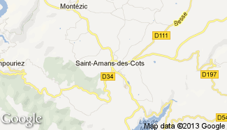 Plan de Saint-Amans-des-Cots