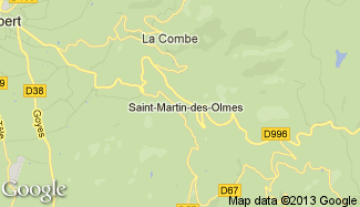 Plan de Saint-Martin-des-Olmes