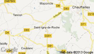 Plan de Saint-Igny-de-Roche