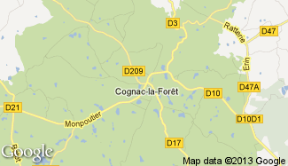 Plan de Cognac-la-Forêt