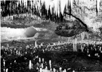 Grotte préhistorique du Pas-de-Joulié (partie)