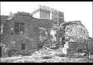 Ruines du château fort