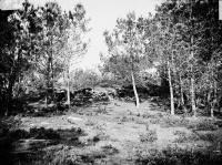 Tumulus-dolmen de Kercado