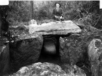 Deux dolmens à galerie avec restes de tumulus