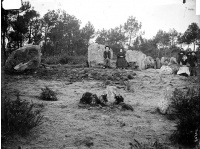 Allée couverte coudée avec la base de son tumulus circulaire