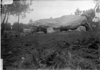 Dolmens de Mané-Bras dits Lann-Mané-Bras