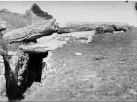 Tumulus avec dolmen du Mané-Nélud