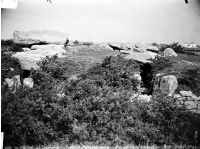 Trois dolmens dans le tumulus de Rondossec