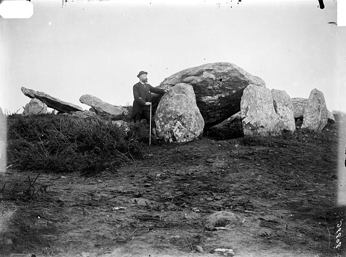 http://image.loomji.fr/mo/20064/deux-dolmens-galerie-kerhan-dits-roh-vras-grande-roche.jpg