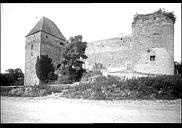 Château de Rosemont (ruines)