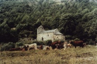 Ancienne chapelle Saint-Martin d'En Valls