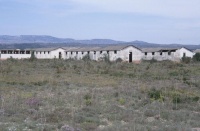 Camp Joffre, dit "Camp de Rivesaltes"