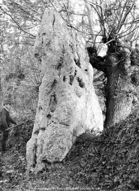 Menhir dit La Pierre Fiche