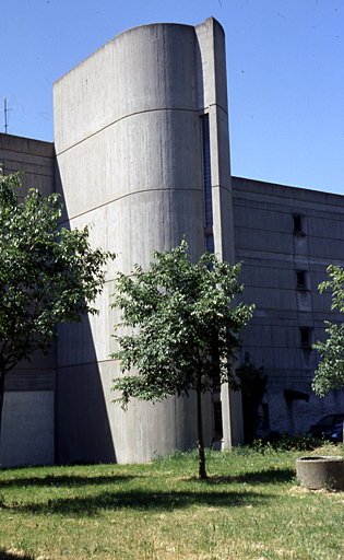 rencontre petrarque à avignon