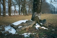 Dolmens n° 3 et 4 de la Betoulle