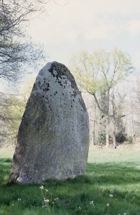 Menhir des Fichades