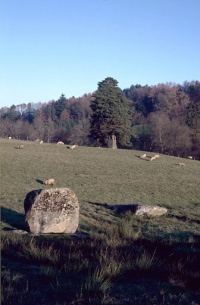 Menhirs 1 et 2 du Metayer