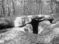 Dolmen de la Pierre-Plate situé dans la forêt de l'Isle-Adam
