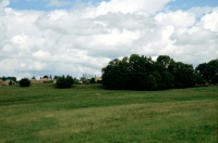 Château des Archevêques (ruines)