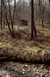 Four à pain de l'ancien habitat en forêt des baraques du Cinq