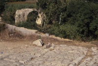 Oppidum d'Ambrussum