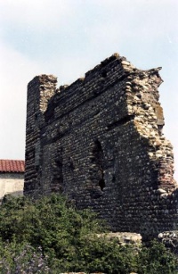 Château (ruines de l'ancien)