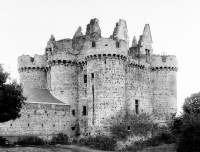 Ruines du château de l'Ebaupinay ou de Baupinay