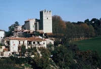 Château d'Esparron