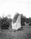 Menhir dit la Pierre Levée