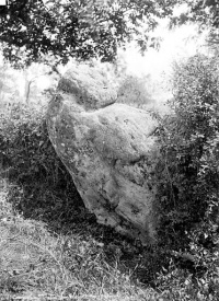 Menhir dit La Pierre à la Femme