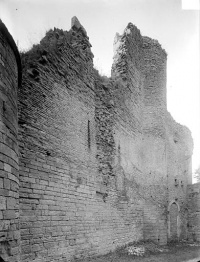 Château des ducs de Bourgogne (ruines)