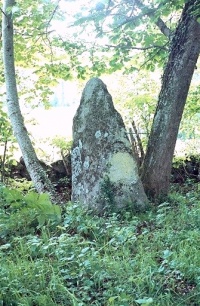 Menhir dit La Pierre Femme