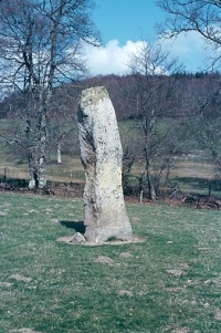 Menhir dit Pierre Fitte