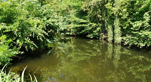 Photo Ambronay - la rivière