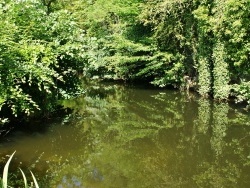 Photo paysage et monuments, Ambronay - la rivière