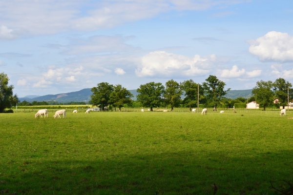 Photo Certines - la commune