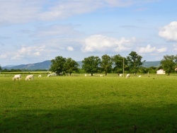 Photo paysage et monuments, Certines - la commune