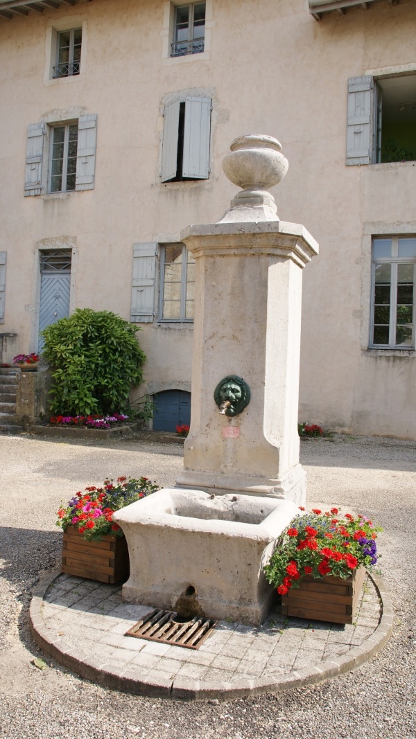 Photo Chavannes-sur-Suran - la fontaine