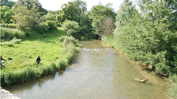 Photo Chavannes-sur-Suran - la rivière