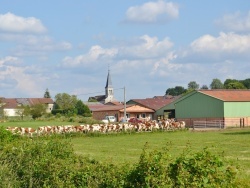 Photo paysage et monuments, Chavannes-sur-Suran - la commune