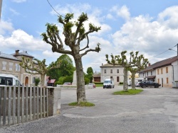 Photo paysage et monuments, Échallon - la commune