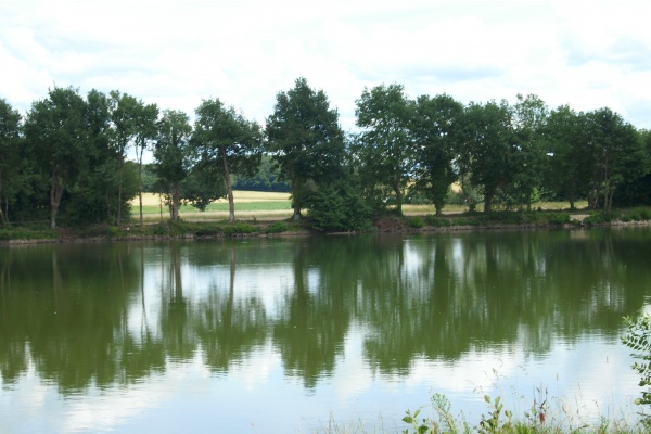 Les étangs de Vavres