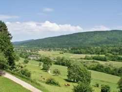 Photo paysage et monuments, Groissiat - la commune