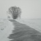 Photo Lurcy - hiver 2010 sur la route et le vent
