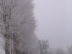Photo paysage et monuments, Lurcy - hiver 2010 lurcy sous le givre
