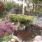 Photo Lurcy - Joli jardin privé de Lurcy2