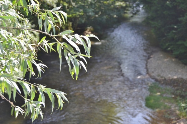 Photo Maillat - la rivière