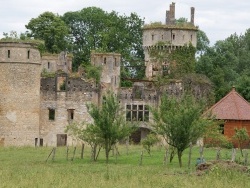 Photo paysage et monuments, Bohas-Meyriat-Rignat - le château