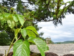 Photo paysage et monuments, Bohas-Meyriat-Rignat - la commune